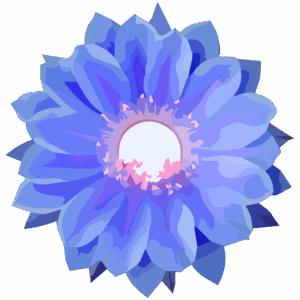 Logo illustration of a blue Echinopsis cactus flower